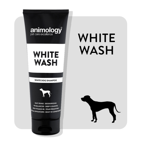 Animology - White Wash Dog Shampoo - 250ml For Discount