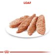 Royal Canin Dermacomfort Loaf Pouches For Discount