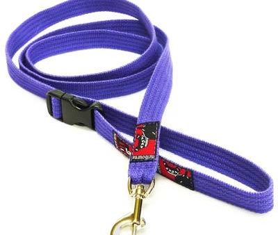 Black Dog Wear Smart Lead Small Online now