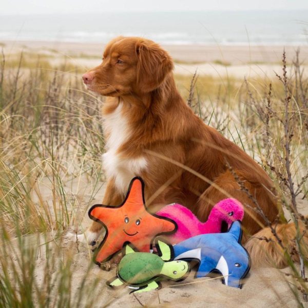 Beco Sindy The Starfish Eco Friendly Rough And Tough Plush Dog Toy Cheap