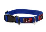 Black Dog Wear Standard Collar Small Supply