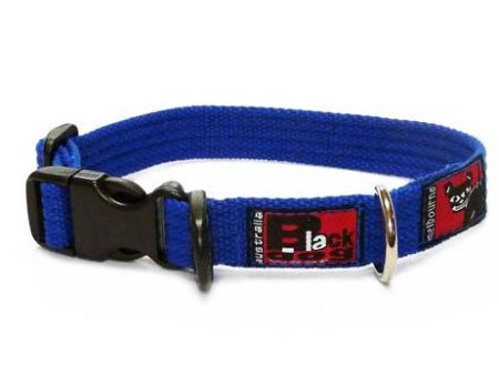 Black Dog Wear Standard Collar Small Supply