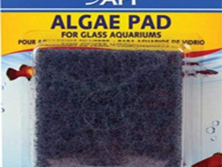 API - Algae Pad - For Glass Supply