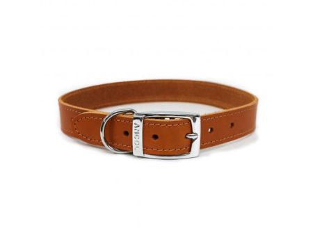 Ancol - Classic Leather Collar - Tan - (16 ) Fashion