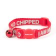 Ancol - I am Microchipped Cat Collar - Red Online now