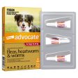 Advocate for Dogs 10-25kg 3 Months Online now