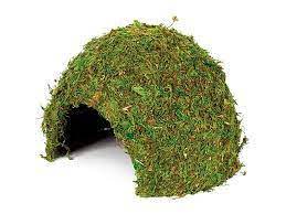 Komodo - Natural Moss Cave - Small Discount