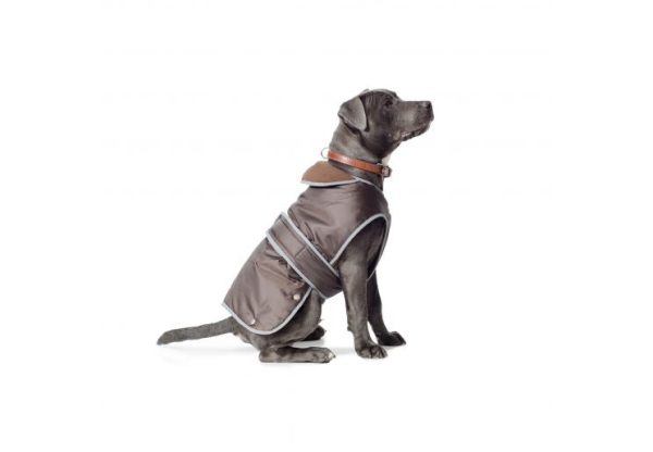 Ancol - Stormguard Dog Coat - Blue - Small Online Hot Sale