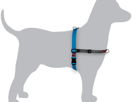 Black Dog Wear Balance Harness Small Online now