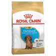 Royal Canin Dachshund Puppy 1.5kg Hot on Sale