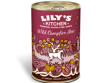 Lily s Kitchen - Wild Campfire Stew Tin - 400gm Online now