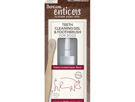 Tropiclean Enticers Teeth Kit Hickory Bacon 59ml For Sale