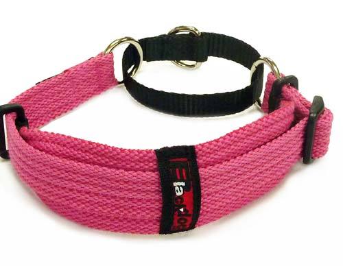 Black Dog Wear Whippet Collar Discount