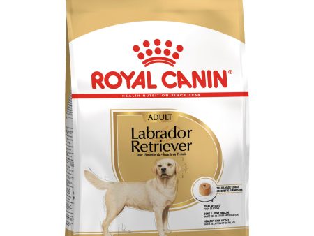 Royal Canin Labrador Adult Online Sale