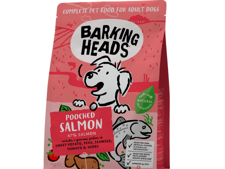 Barking Heads - Fusspot (Salmon & Potato) - 2kg Sale