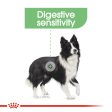 Royal Canin Medium Digestive Care Cheap