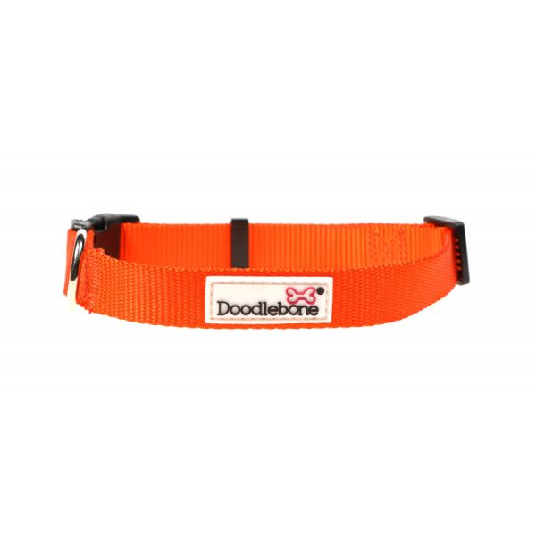 Doodlebone - Originals Collar - Tangerine - 3-6 For Cheap