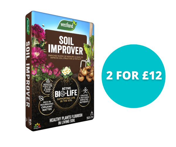 BIO-LIFE SOIL IMPROVER 50L  - Bundle 2 for £12 on Sale