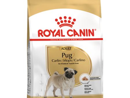 Royal Canin Pug Adult Fashion