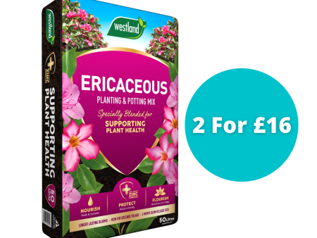 Ericaceous Planting & Potting Compost 50L - Bundle of 2 for £16 Discount