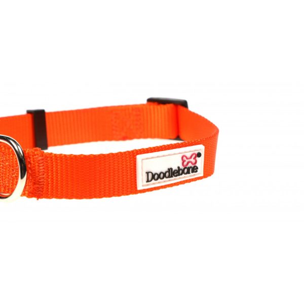 Doodlebone - Originals Collar - Tangerine - 3-6 For Cheap