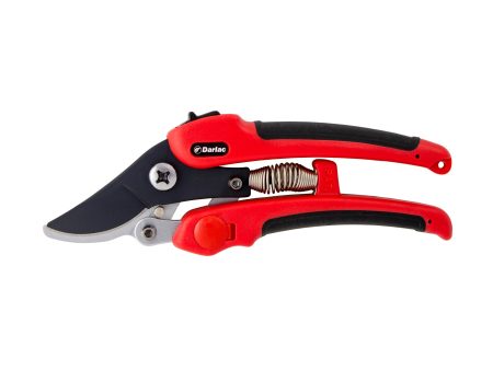 Darlac - Compound Action Pruner Online