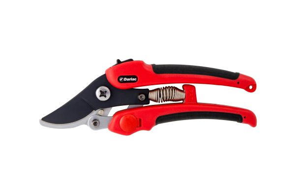 Darlac - Compound Action Pruner Online