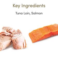 Applaws - Cat Can Senior Tuna With Salmon In Jelly - 70g Supply