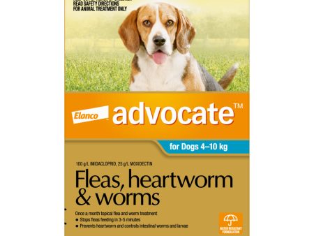 Advocate for Dogs 4-10kg 3 Months Cheap