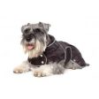 Ancol - Muddy Paws Quilt Coat - Black - Small For Discount