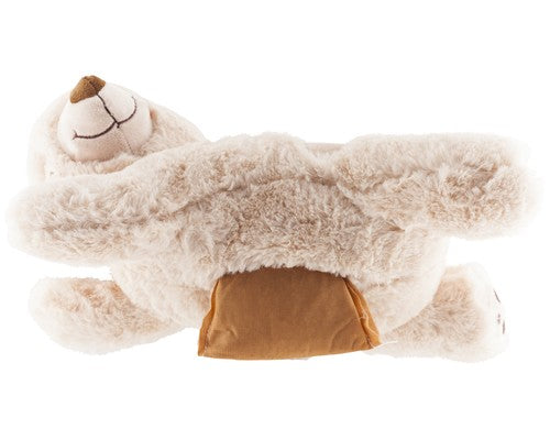 All For Paws - Little Buddy Warm Bear Online