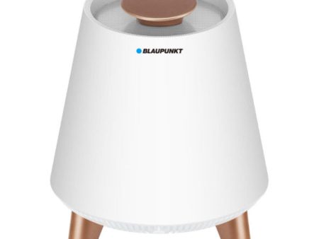 Blaupunkt BT25LAMP Supply